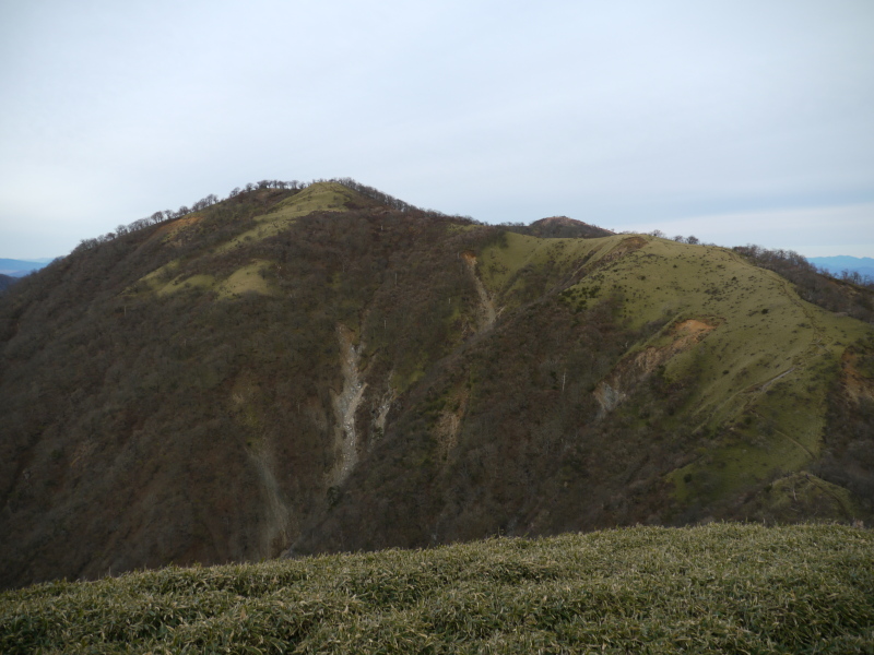 b0190242_13111477.jpg