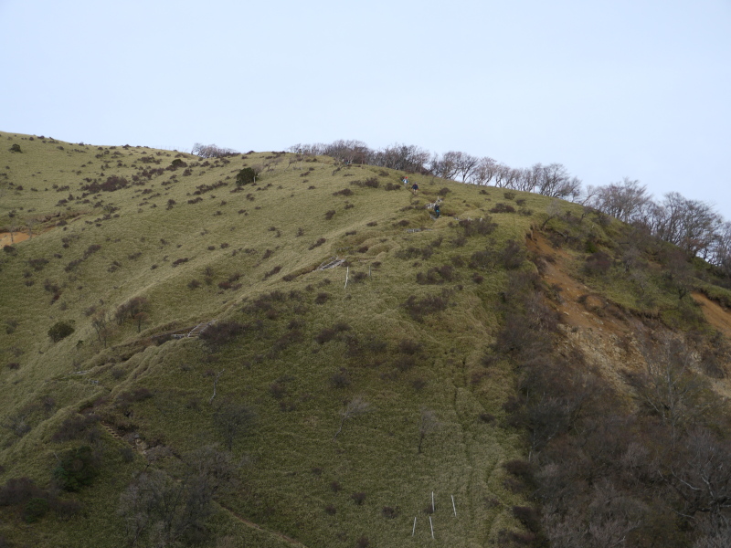 b0190242_13142954.jpg