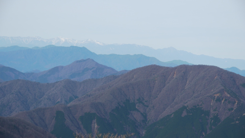 b0190242_13212134.jpg