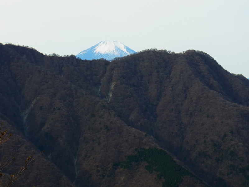 b0190242_13273237.jpg