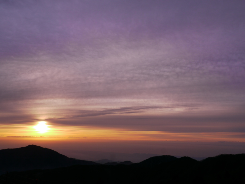 b0190242_1331032.jpg
