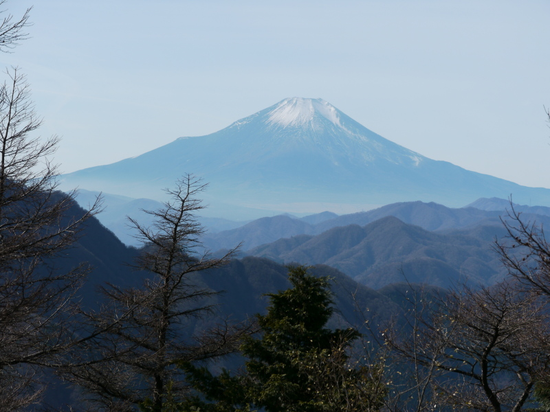b0190242_13314079.jpg