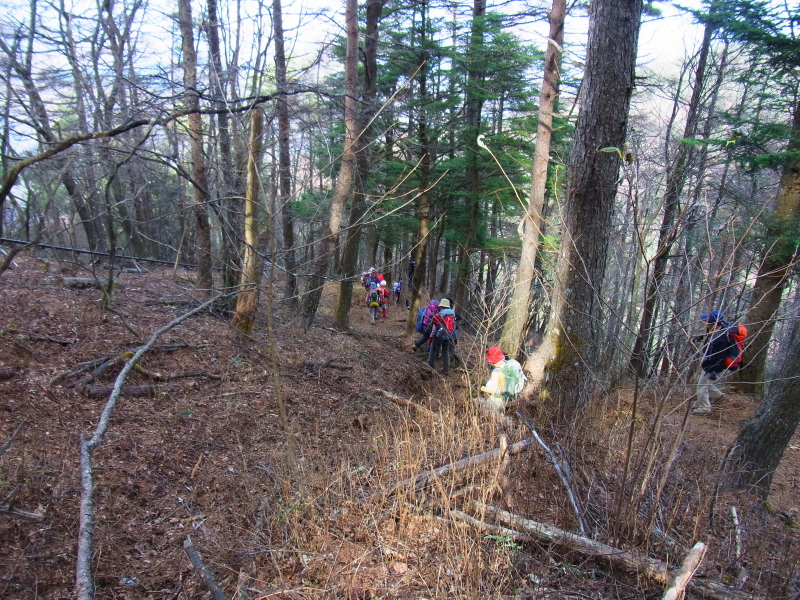 b0190242_1333175.jpg