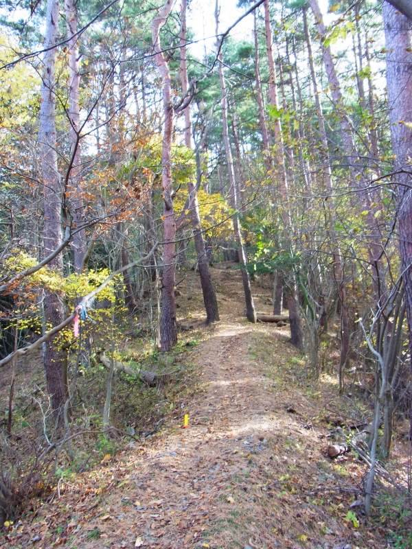 b0190242_13333576.jpg