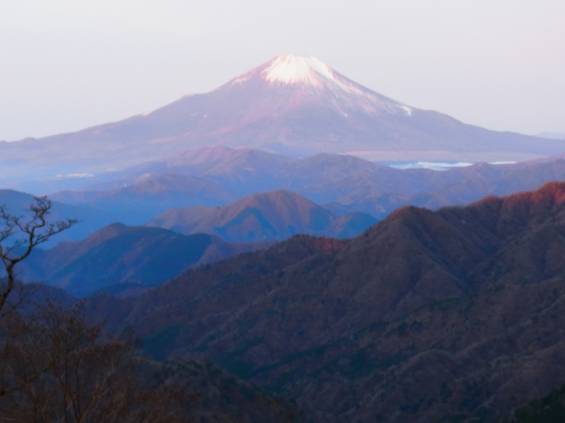 b0190242_1336687.jpg