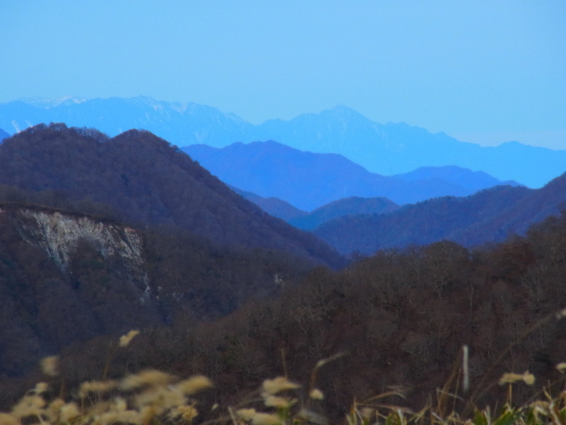 b0190242_1364051.jpg