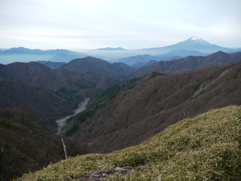 b0190242_138299.jpg