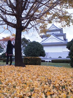 b0199742_14195785.jpg