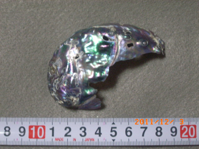 a0157451_23363522.jpg