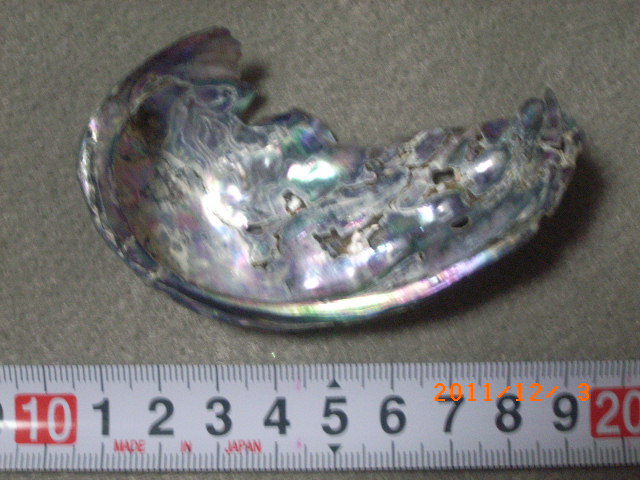 a0157451_2337987.jpg