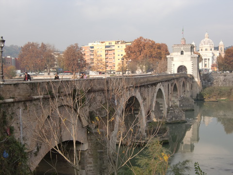c0206352_226523.jpg