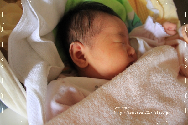 d0118555_1434046.jpg