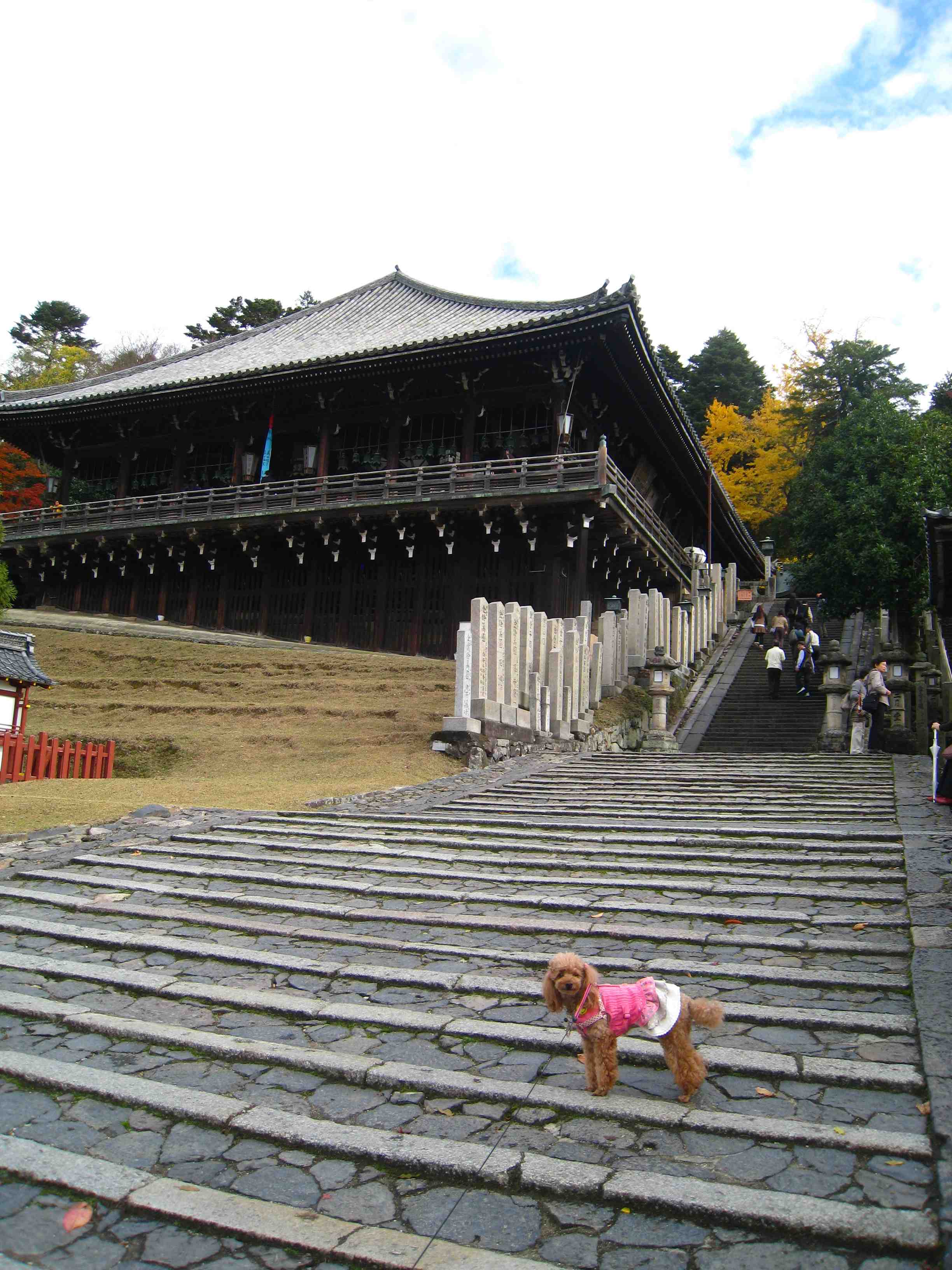 f0233356_2013840.jpg