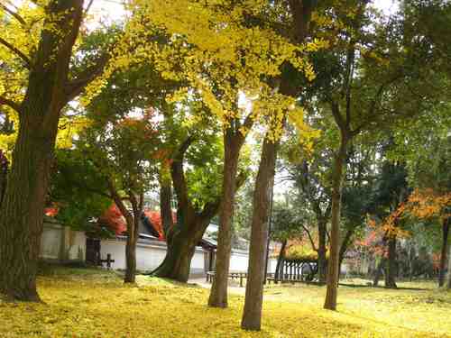 f0233356_2034674.jpg
