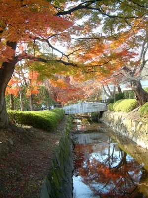 c0050264_15274480.jpg