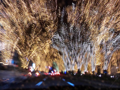 c0050264_1653730.jpg