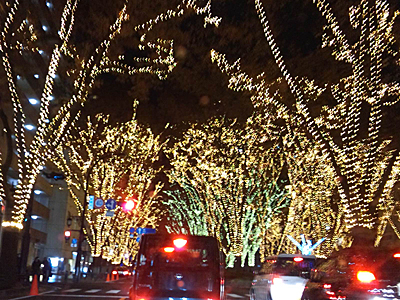 c0050264_166535.jpg