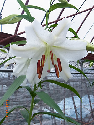 e0097770_021411.jpg