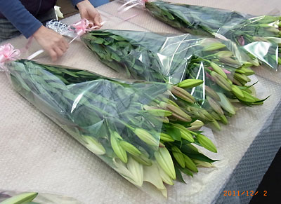 e0097770_0265763.jpg