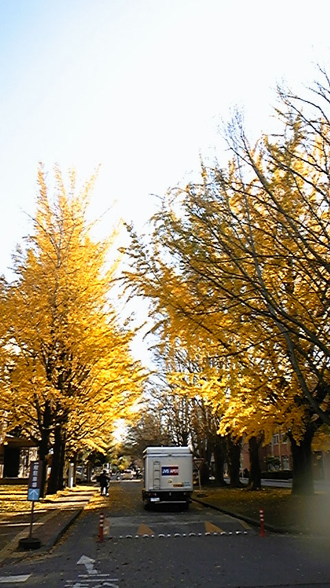 e0118274_0264259.jpg