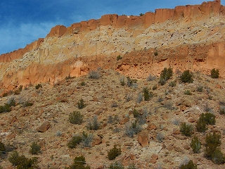 e0197574_7393496.jpg