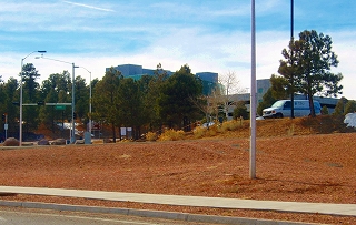 e0197574_949985.jpg