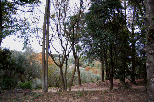 b0232875_232779.gif