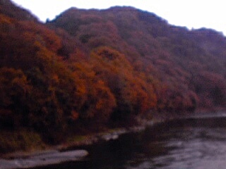 c0096582_134118.jpg