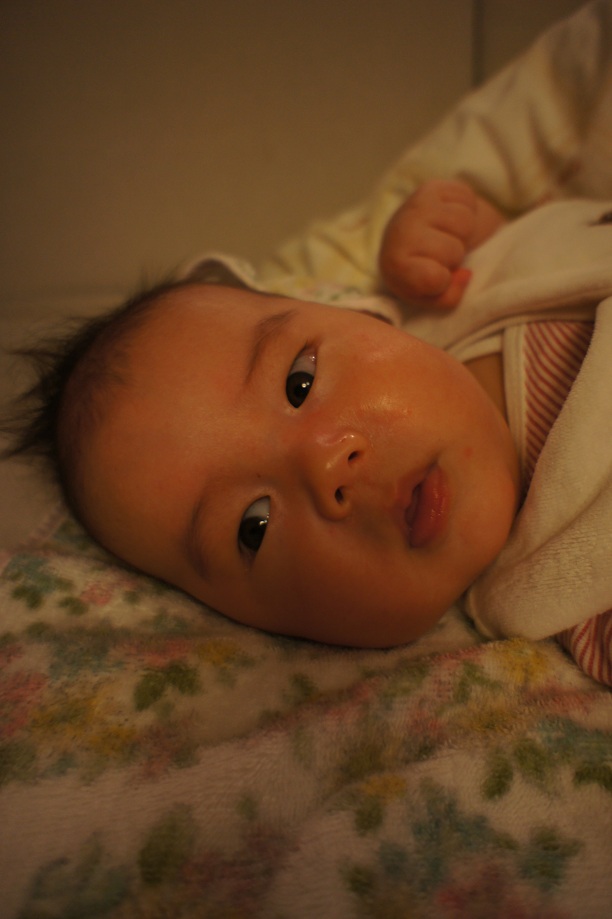 a0184090_052287.jpg