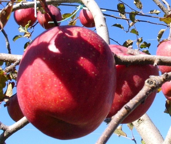 a0031000_23381120.jpg
