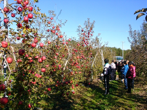 a0031000_23384220.jpg