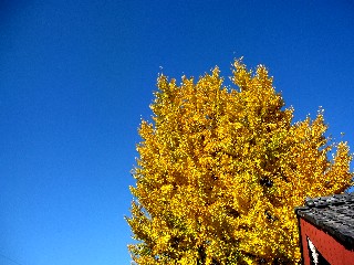 a0040103_2151892.jpg