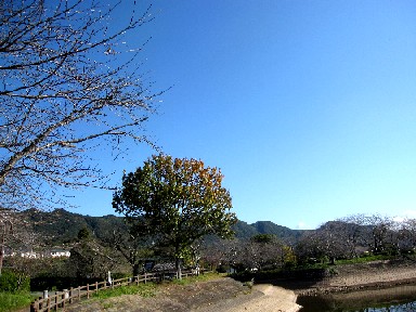 a0040103_217542.jpg