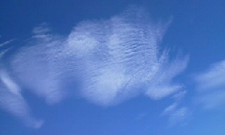 a0053203_22561145.png
