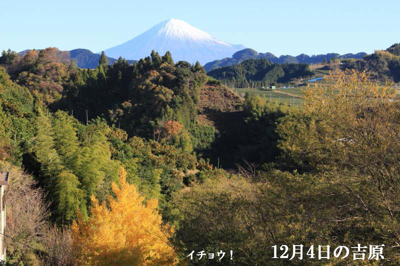 a0188405_1241795.jpg