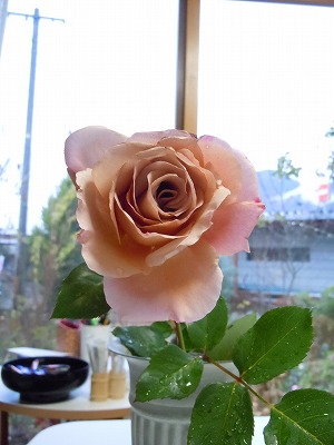 c0117007_21134634.jpg