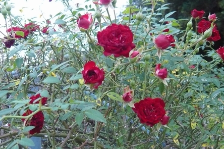 f0221708_12667.jpg