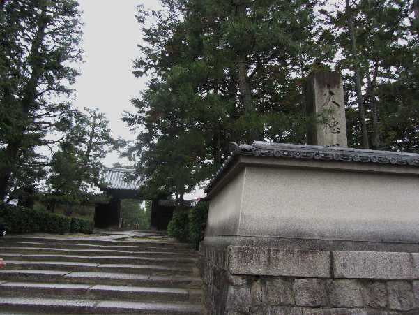 d0154609_11113010.jpg