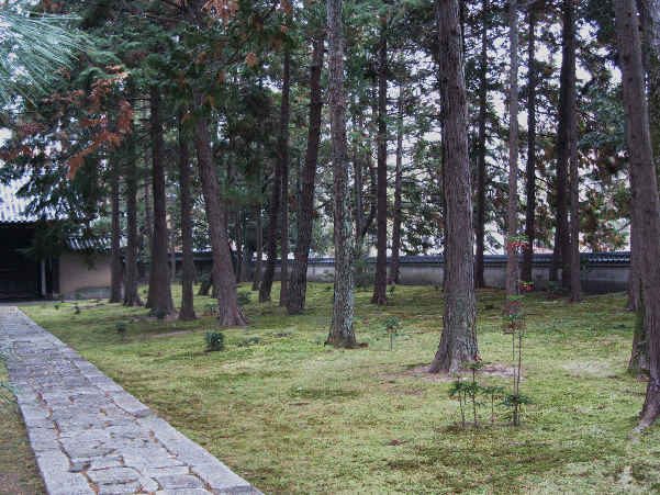 d0154609_11141086.jpg