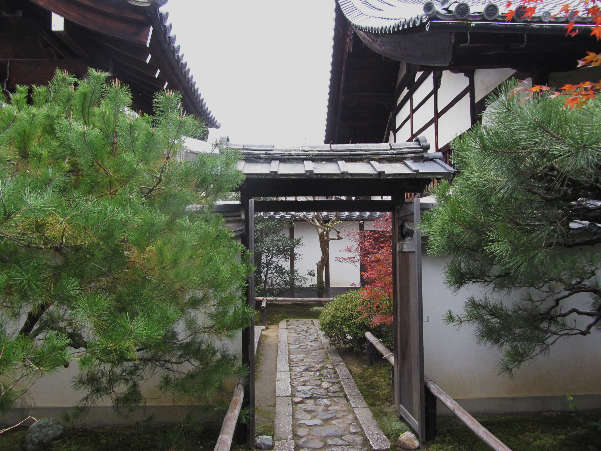 d0154609_11191329.jpg