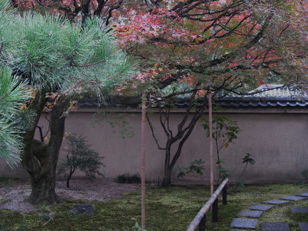 d0154609_1121396.jpg