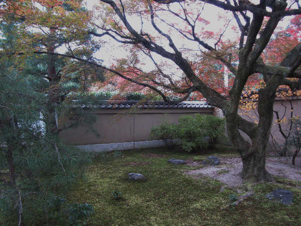 d0154609_1122538.jpg