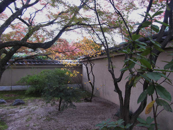 d0154609_11232261.jpg