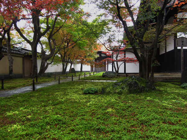 d0154609_1134030.jpg