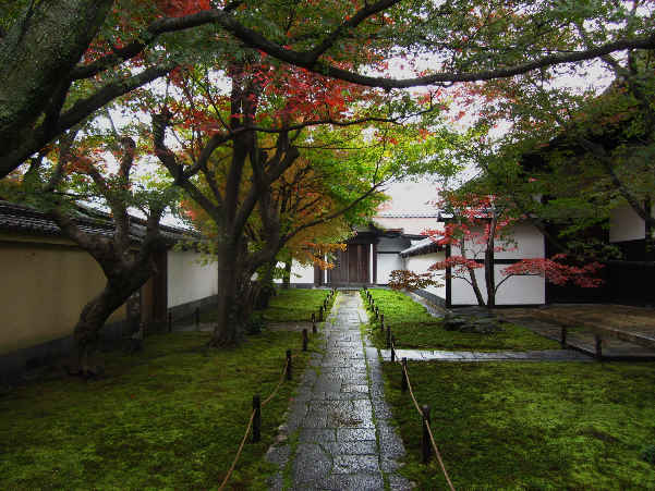 d0154609_11342731.jpg