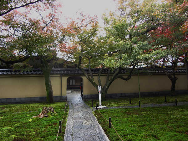 d0154609_11344963.jpg