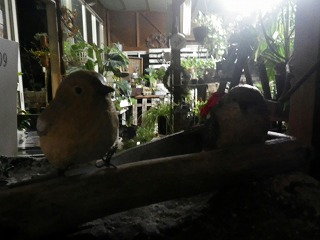 c0190010_21363574.jpg
