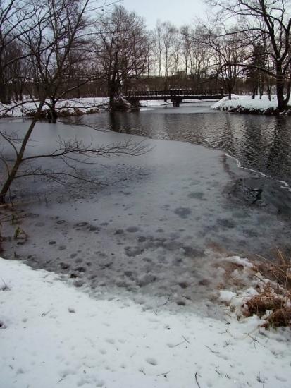 e0062415_1692054.jpg