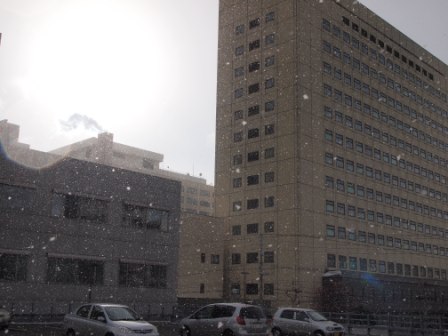 e0113915_963075.jpg