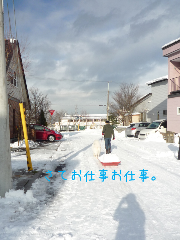 b0146024_20344798.jpg